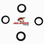 ALL BALLS FORK & DUST SEAL KIT