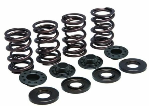 KPMI SPRING KIT, LIGHTWEIGHT RA CING, .500"